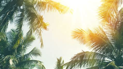 'Summer' is here: Philippines' hot dry season begins .